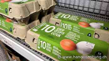 Billigbio kommt auf leisen Sohlen