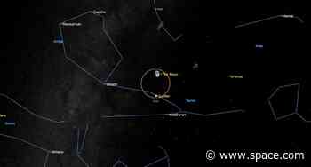 See the moon and Jupiter grab 'the Bull' by the horns this week