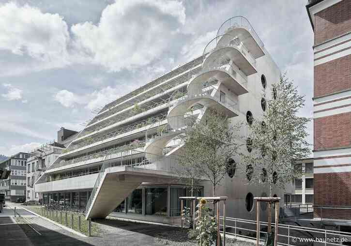 Sichtbeton und Wucherpflanzen
 - Terrassenhaus von EM2N in Zürich