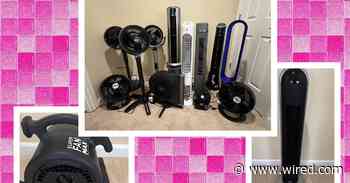 The 8 Best Fans for Every Use, Editor Tested & Reviewed (2025)