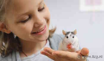 Een huisdier waar je blij van wordt