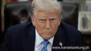 Die Rezepte gegen Trumps Zollwahnsinn