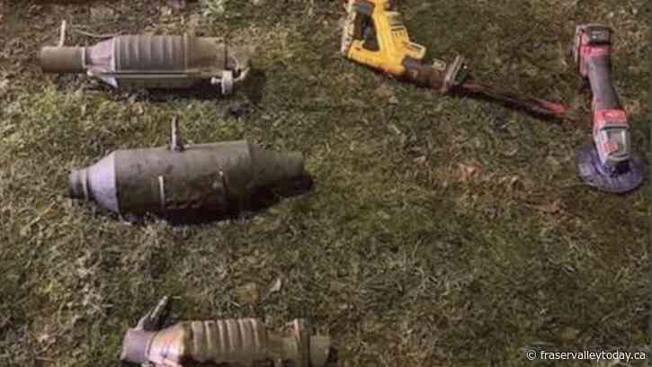 Two Fraser Valley females face multiple charges for alleged catalytic converter theft
