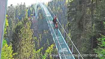 Neckarline wird gebaut: Wildbader Hängebrücke bekommt eine Schwester