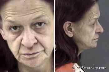 Cheyenne Woman With 6 Prior Drug Convictions Busted Again