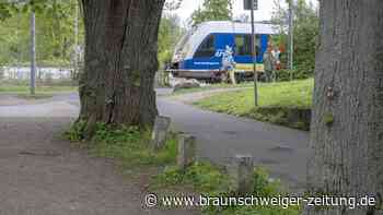 Braunschweigs Bürger retten die Grünewald-Bäume