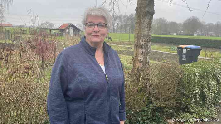 Geen park maar hoogspanningsstation voor de deur: 'Ik lig er wakker van'