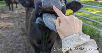 Farm finance future: Tool helps farmers cut carbon to access discount loans