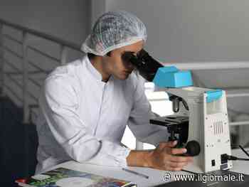 Computer quantistici e ponti di luce: così la diagnosi tumorale batte il sistema immunitario