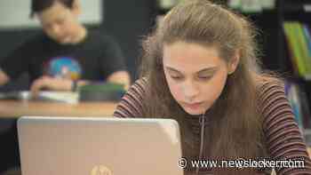 Steeds meer ouders kiezen voor privéonderwijs, dit is waarom