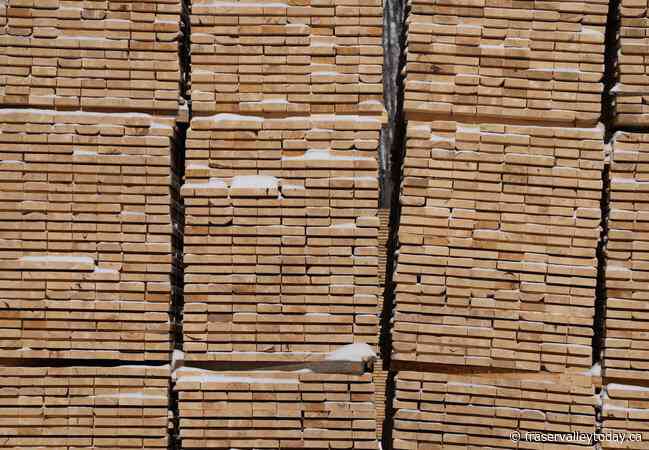 California looks to Canadian timber to help in fire rebuild, despite tariff threat