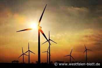 Borgentreich: Zwei umstrittene Windräder bei Manrode werden gebaut