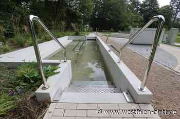 Bad Driburg: Rechtsstreit zwischen Graf und Stadt – Wer trägt Schuld?