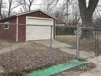 Detroit mom charged with killing son, burying body in backyard last fall