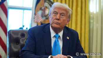 Trump bans transgender female athletes from women's sports in new executive order