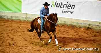 See how the opening lots sold at the 2025 Nutrien Classic horse sale