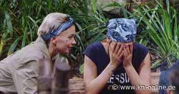 Dschungelcamp, Tag 13: Jörg Dahlmann ist raus