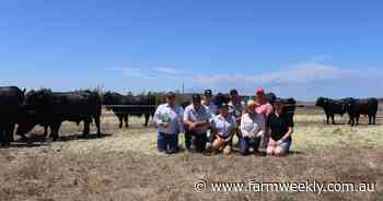 'Backed by science not fiction' drives 100pc Lawsons Angus clearance