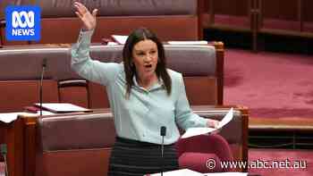 Jacqui Lambie rails against unfair dismissal laws, says staffer 'painted nails at their desk'