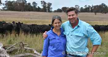 Beef Spectacular Feedback Trial 2025: Baringa compares preparation methods
