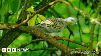 Farmers work with National Trust to boost wildlife