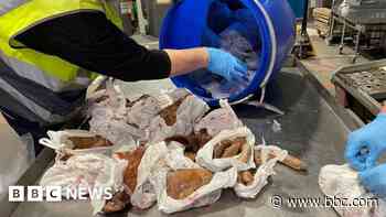 Illegal meat on most UK high streets, official says