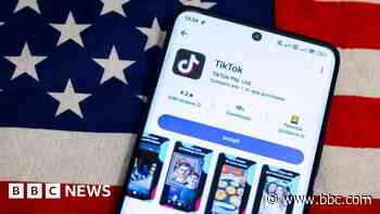 US sovereign wealth fund could buy TikTok, Trump says