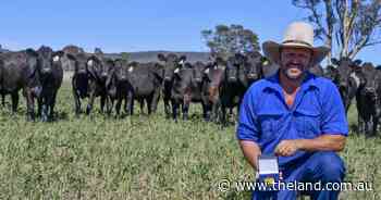 Beef Spectacular Feedback Trial 2025: Skinner's vision recognised