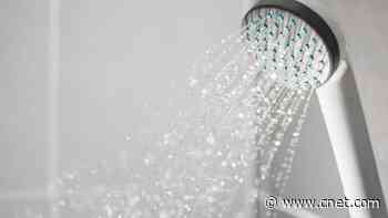 Best Showerhead Filters of 2025