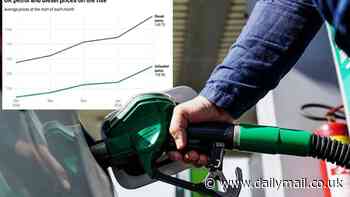 Price of petrol and diesel has risen for four consecutive months