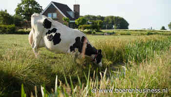 Besturen lastig door onze individualistische cultuur