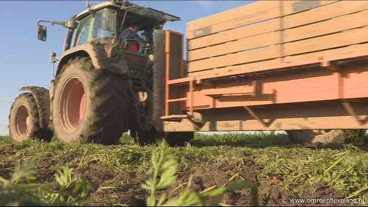 Flevoland - 'Landbouwgrond in de toekomst niet zomaar opofferen voor woningbouw of kazernes'