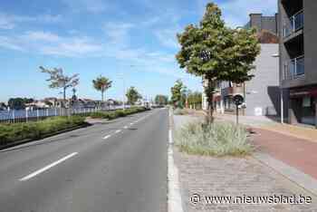 Werken Prinses Elisabethlaan verlopen sneller dan gepland