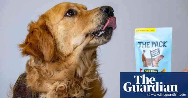 Dog treat made from lab-grown meat on sale in UK as retailer claims a ‘world first’