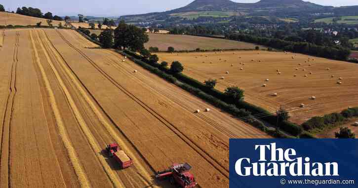 Urgent action needed to ensure UK food security, report warns