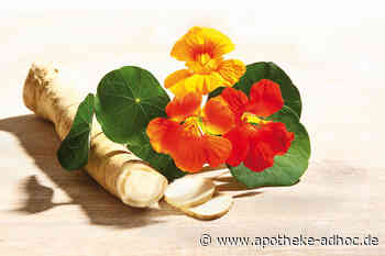 Isothiocyanate gegen Infektwelle und resistente Keime