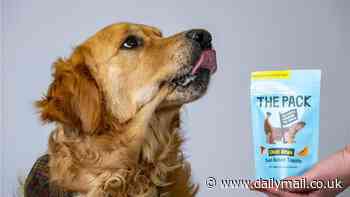 Would YOU feed your dog lab-grown meat? World's first cultivated pup treat goes on sale in the UK