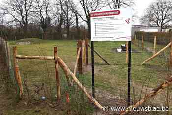 Team Waregem wil hondenweide in elke deelgemeente