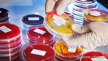 Neue Idorsia oder zweite Kuros?  BioVersys geht am Freitag an die Börse - eine Einschätzung