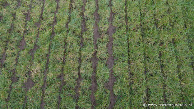 DCA lanceert mestnotering rundvee voor Leeuwarden