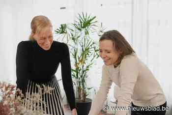 Mechels consultingbedrijf zet hoogbegaafden in: “Wereldprimeur om denkkracht bedrijven te versterken”