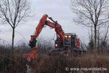 Snoeiwerken langs jaagpad Lo-kanaal