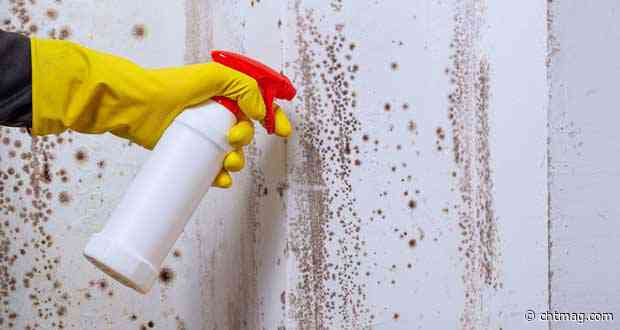 Unlock Awaab’s Law compliance with audits