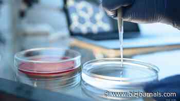 Mustang Bio says it needs additional funds to avoid bankruptcy