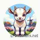 Nederlands taalmodel gaat offline na contact met Stichting Brein