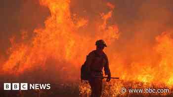 Record January warmth puzzles climate scientists