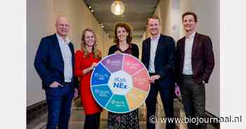 MVO Nederland ziet 18,5% van de Nederlandse economie als duurzaam