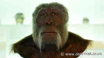 Mysterious 1.4 million-year-old jaw belongs to a 'never-before seen' human relative - and it could rewrite the entire history of our evolution