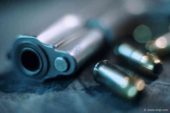 Bill looking to amend New Mexico's red flag laws moves forward