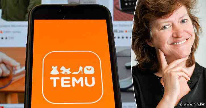 Europa wil invoerrechten op alle pakjes onder 150 euro: hoeveel duurder worden aankopen bij Shein en Temu?